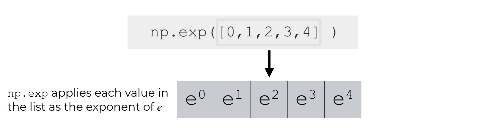 An explanation of how numpy.exp operates on a 1-d array.