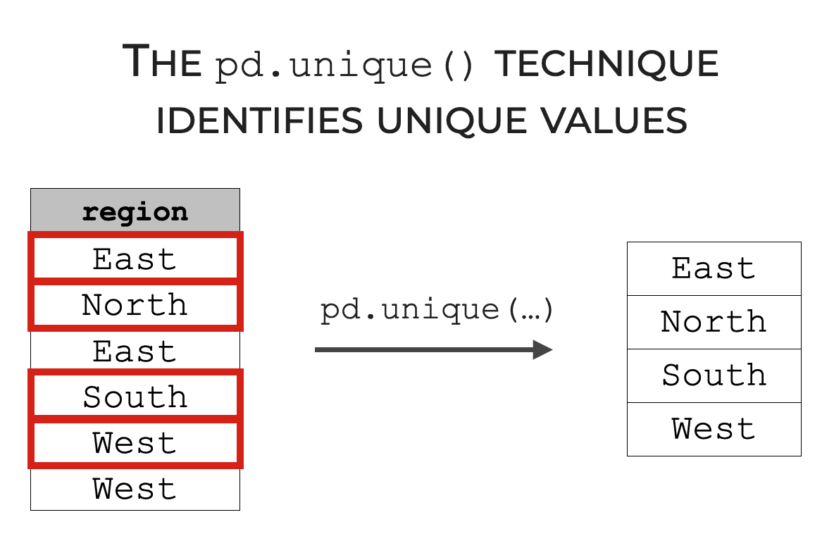 An example of how the pd.unique function identifies the unique values of a Pandas series. 