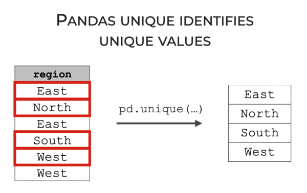 An image showing the Pandas unique function, identifying the unique values of a Pandas Series.