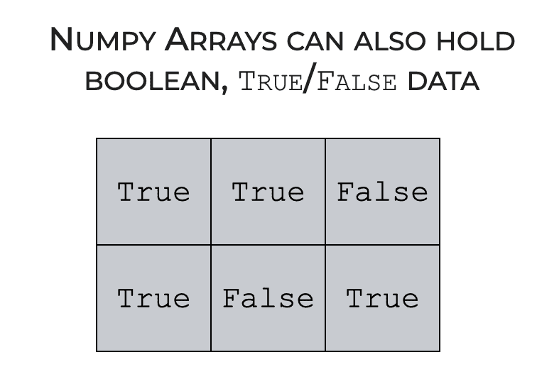 An example of a Numpy array with boolean, True/False values.