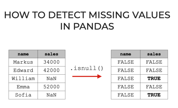An image that shows how Pandas isnull detects missing values in a Python dataframe.
