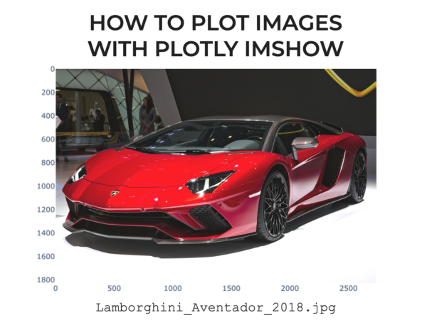 An image showing a jpg image file plotted with Plotly imshow.