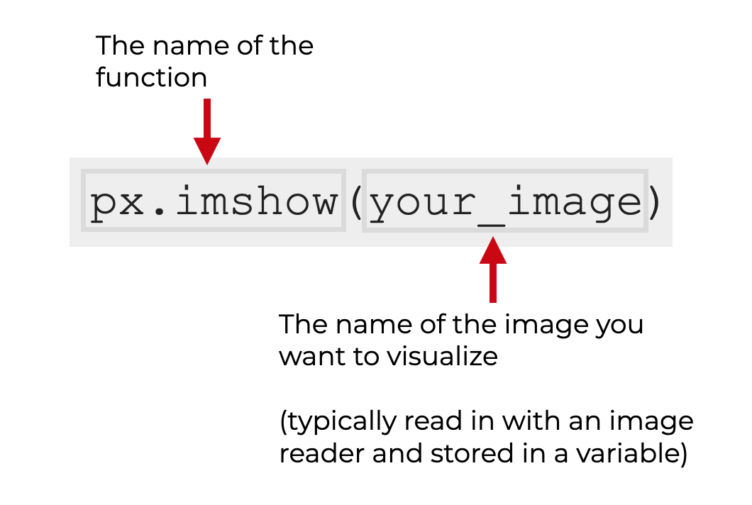 An image that explains the basic syntax of px.imshow.