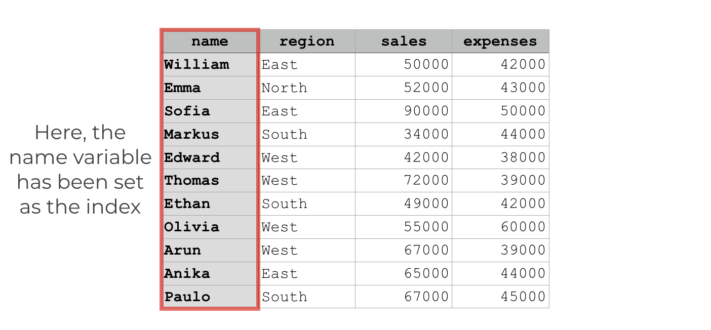An image that shows how the "name" variable has been set as the DataFrame index.
