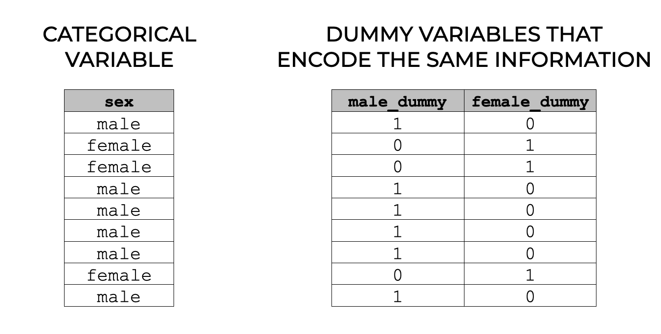 An image that shows how dummy variables encode categorical information as 0/1 numeric variables.