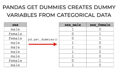 How to Use Pandas Get Dummies in Python