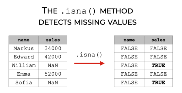 A simple example of Pandas isna detecting missing values in Python data.
