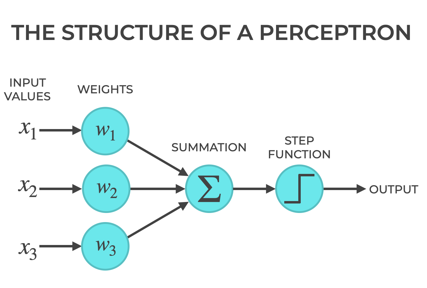 An image that visually explains the structure of a perceptron. It shows the input xi values; the associated weights, wi, the summation function that sums the weighted inputs to produce the net input; and the set activation function that produces an output.