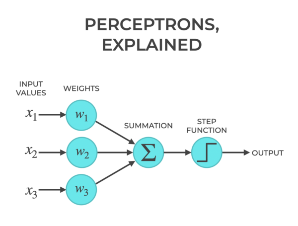 An image that shows a perceptron, with the title "Perceptrons Explained".