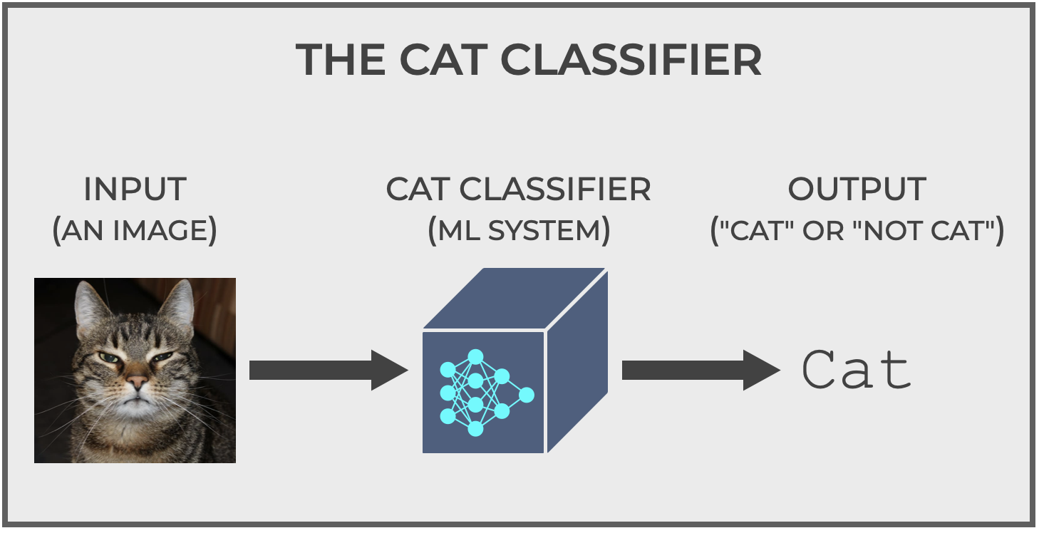 An image of a hypothetical classification system that classifies images into "cat" or "not cat", which we have dubed, The Cat Classifier.