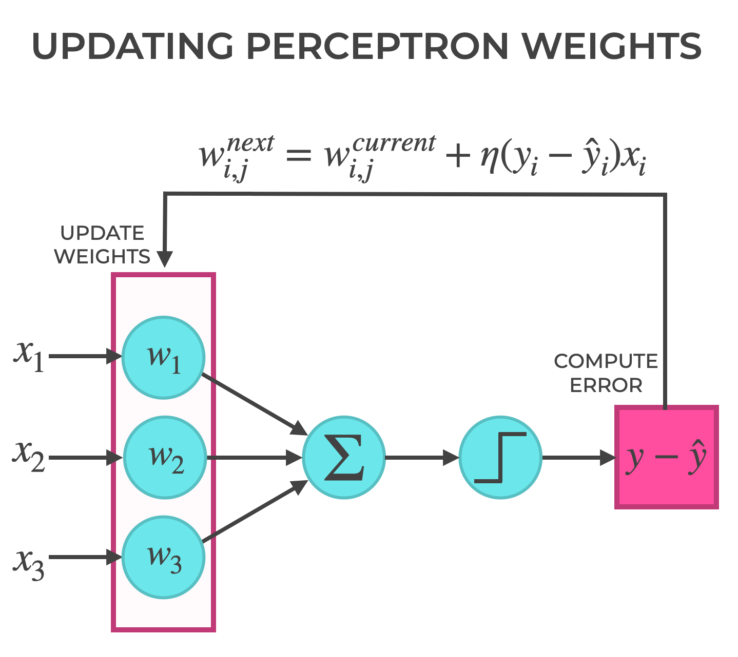 An image that shows how the weights are updated during Perceptron training, using the perceptron learning rule.