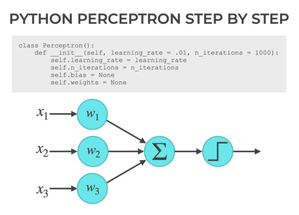 An image that shows a Perceptron, and code to initialize a Python Perceptron.