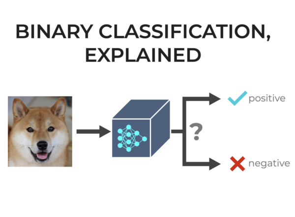An image that shows how binary classification categorizes a data example into one of two categories.