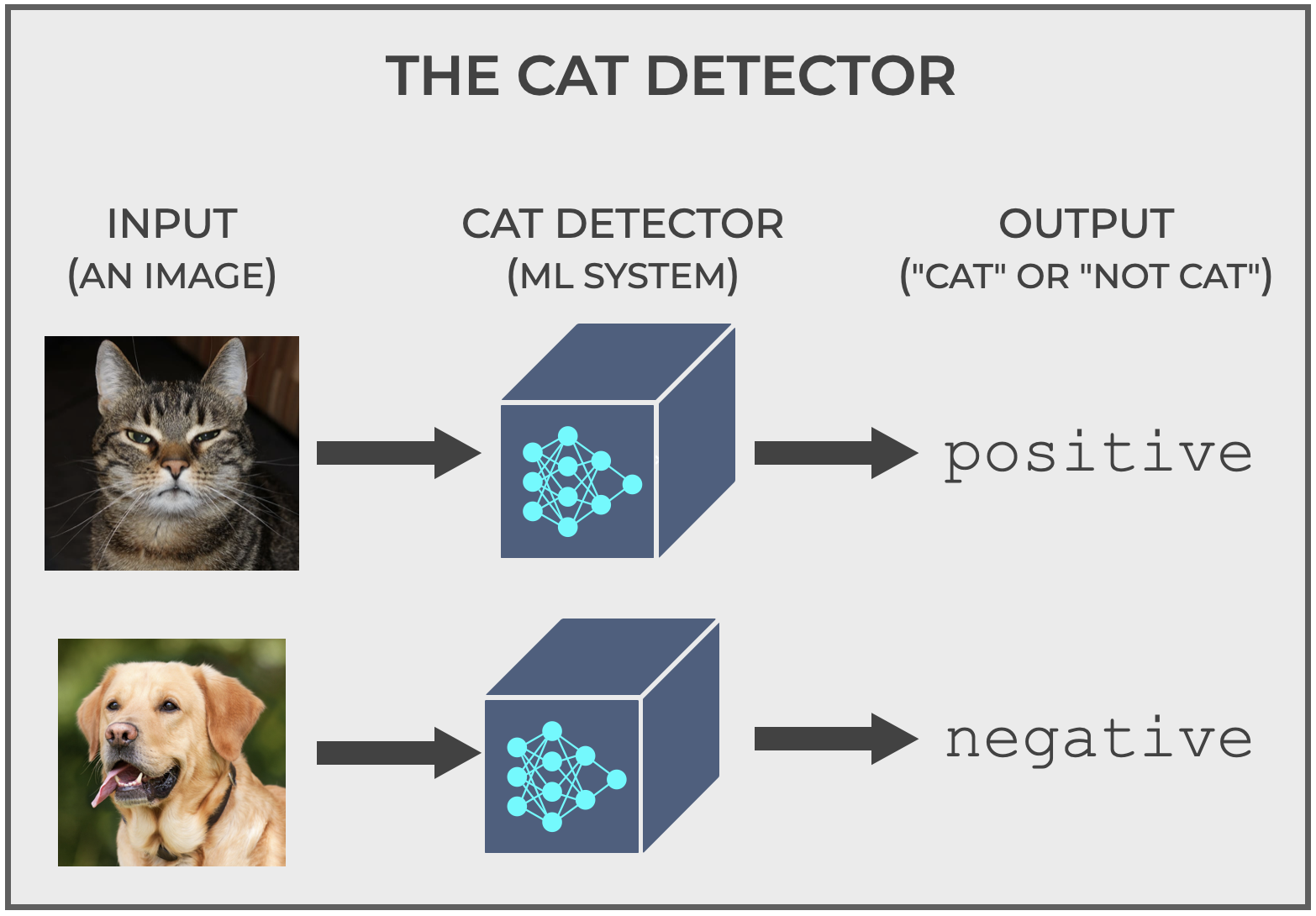 An image that shows how the Cat Detector classification system classifies images into cat or non-cat (i.e.. positive and negative classes).