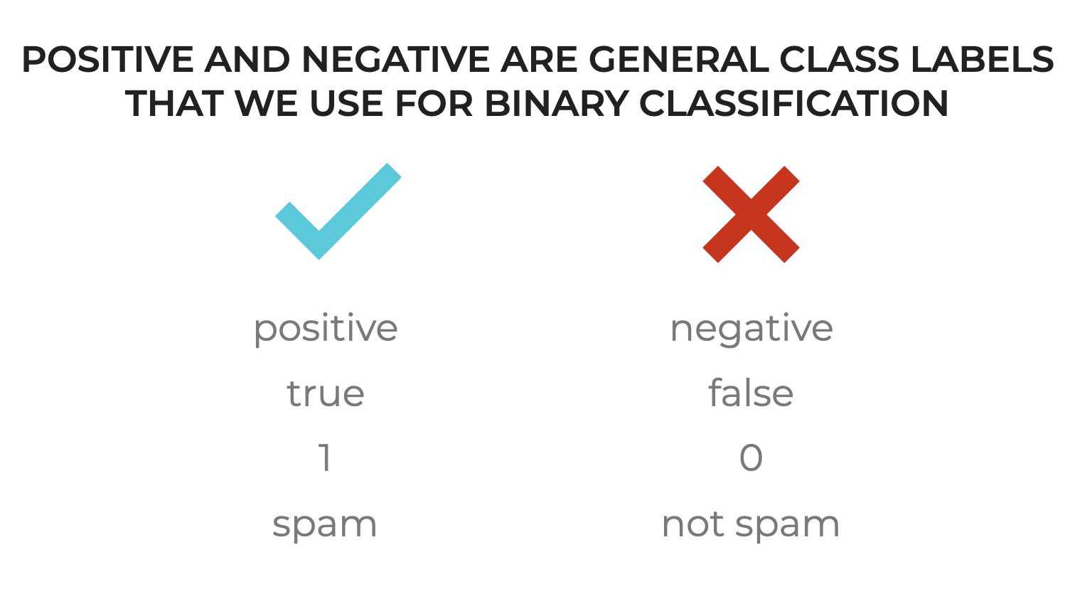 An image that shows positive and negative classes, and how they are general labels in binary classification.