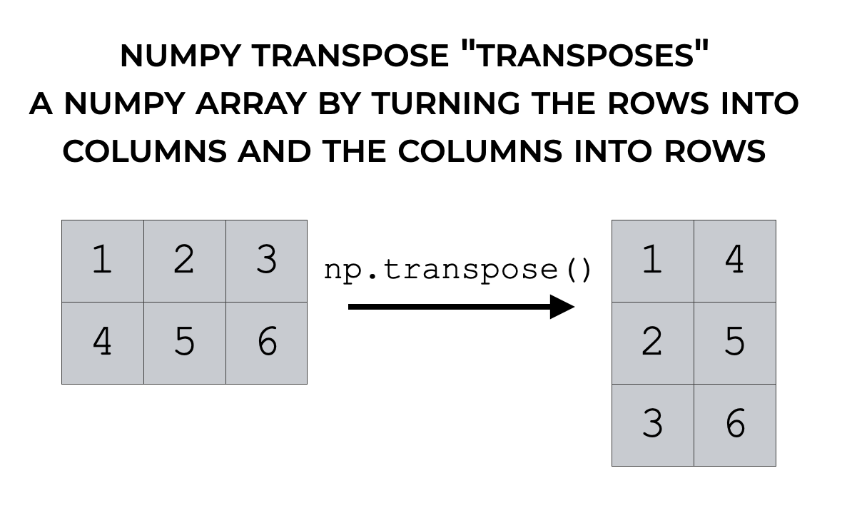 A simple example that shows how Numpy transpose transposes the rows and columns of a Numpy array.